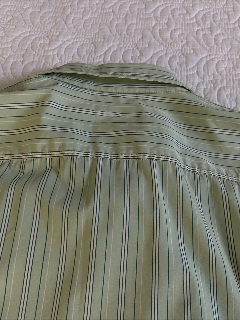 Ralph Lauren Light Green Striped Button Down Shirt Size Large - Picture 8 of 12